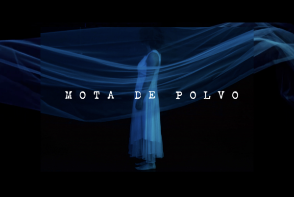 MOTA DE POLVO MOVIL